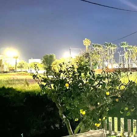 Windmill View *